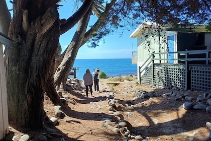 Shore Excursion Scenic drive & guided walk Godley Head & City