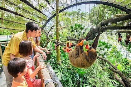 Singapore Zoo Tickets with Tram Ride