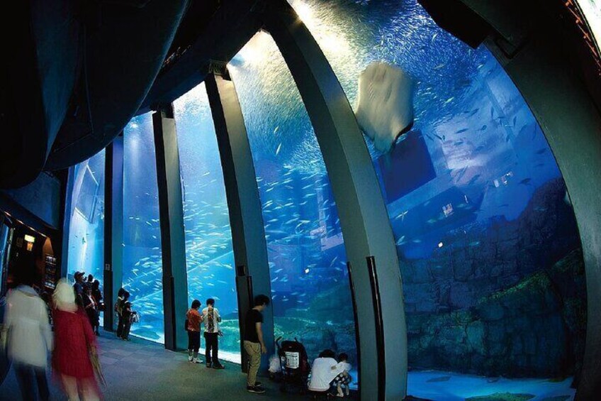 Yokohama Hakkeijima Sea Paradise Aqua Museum