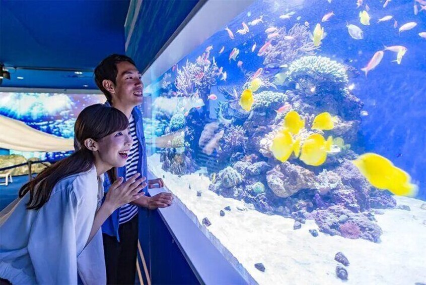 Yokohama Hakkeijima Sea Paradise Aqua Museum