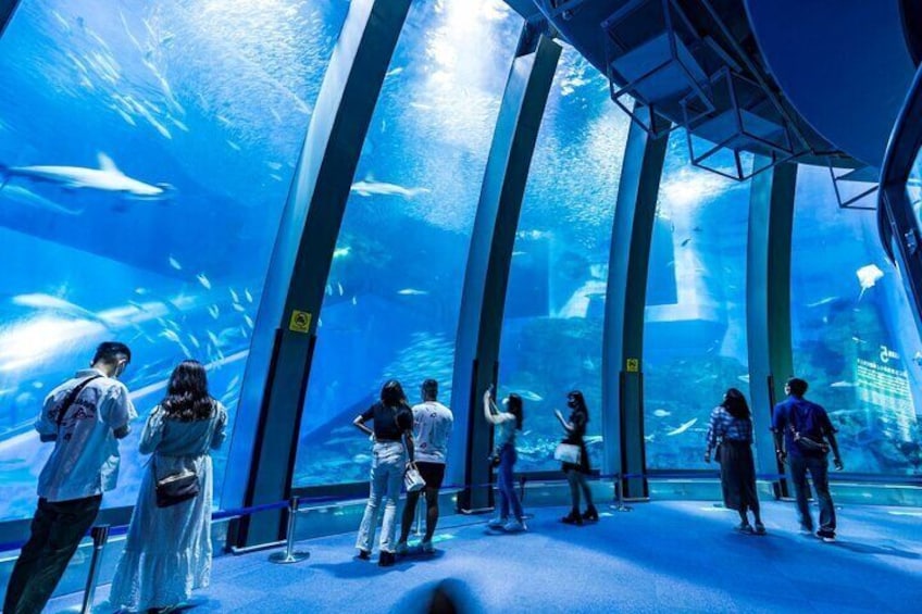 Yokohama Hakkeijima Sea Paradise Aqua Museum
