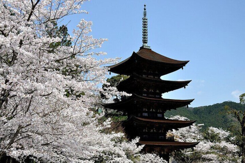 "< free walk >
Ruriko-ji
Five Story Pagoda,
1-28 Kimachi,
Yamaguchi"