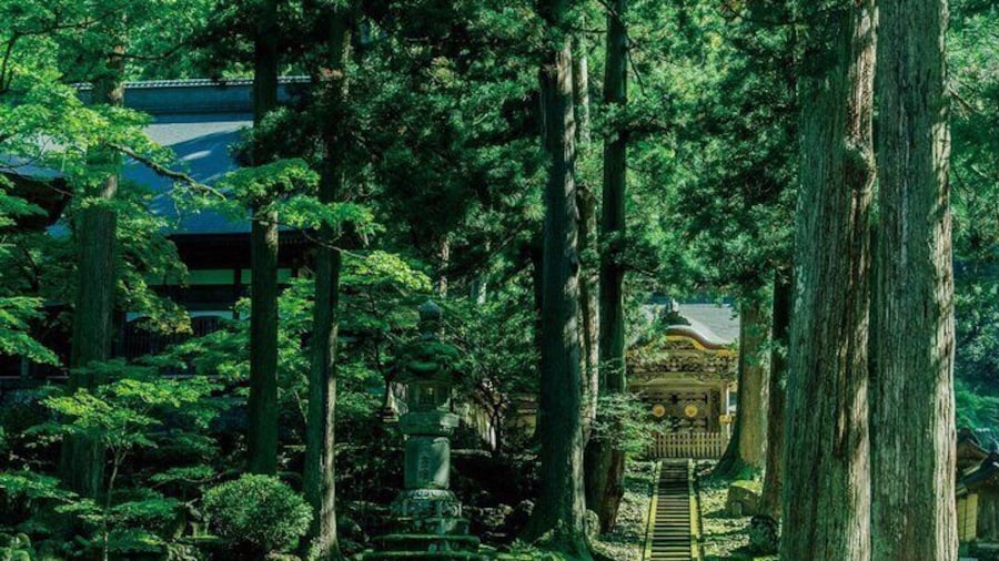 "< lunch 5 and
free walk >
Daihonzan Eiheiji,
5-15 Shihi, Eiheiji,
Yoshida, Fukui"