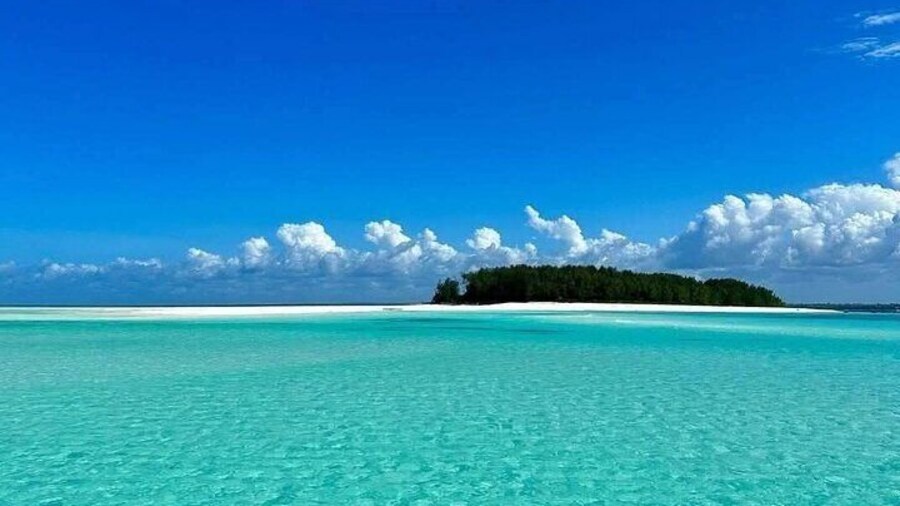 Private Mnemba Snorkelling and Dolphin Tour in Zanzibar