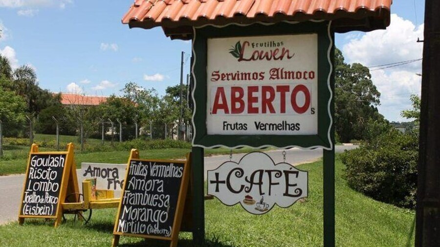 Private Tour in the Colony Witmarsum State of Paraná