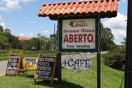 Private Tour in the Colony Witmarsum State of Paraná