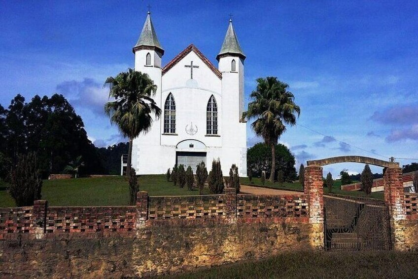 Private Tour in the Colony Witmarsum State of Paraná