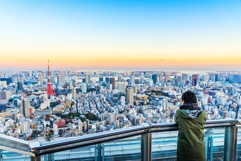 Roppongi Hills Observation Deck "Tokyo City View" E Tickets