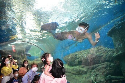 Underwater World Pattaya Aquarium Journey Ticket