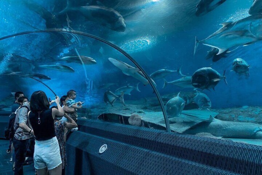 Underwater World Pattaya Aquarium Journey Ticket