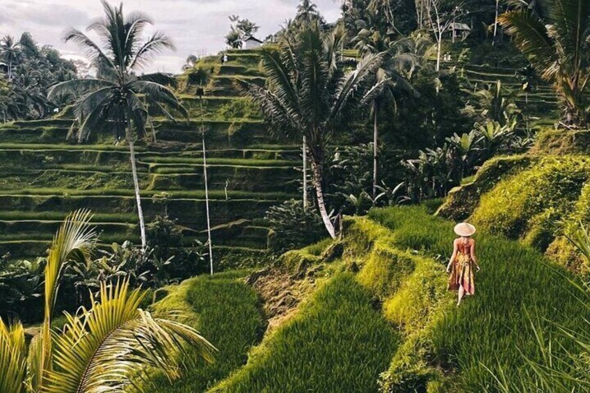 Ubud Waterfalls, Rice Terrace and Jungle Swing Tour 