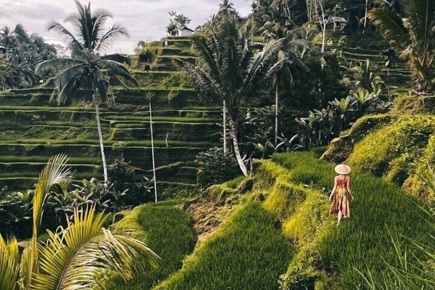 Ubud Waterfalls, Rice Terrace and Jungle Swing Tour