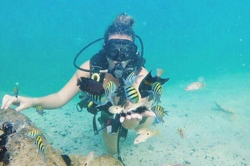 3 Hour Scuba Diving Experience in Dubai with transfer 