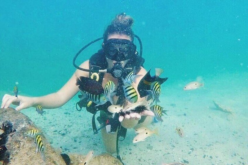 3 Hour Scuba Diving Experience in Dubai with transfer