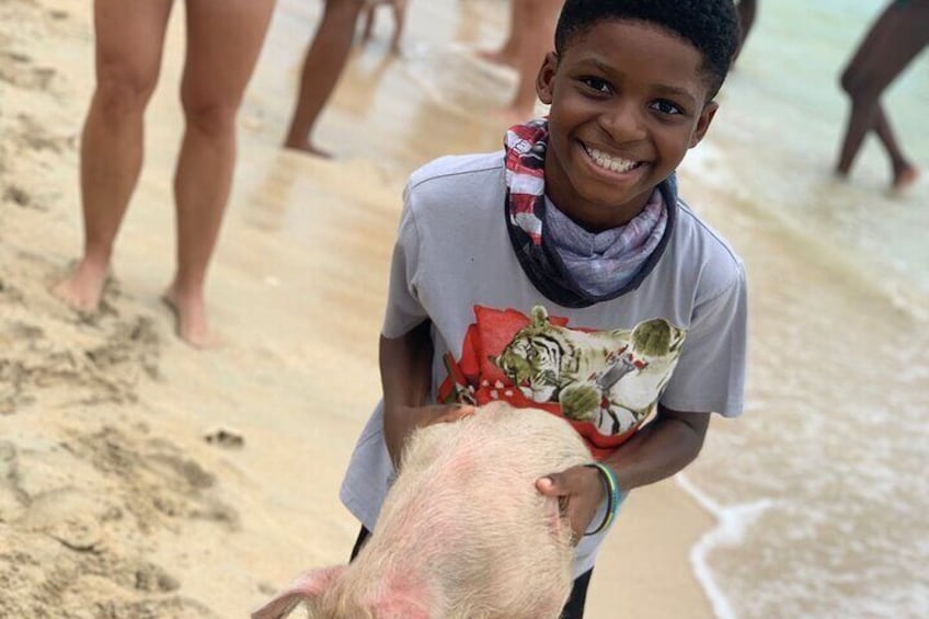 Swimming with Pigs Shared Tour in Nassau