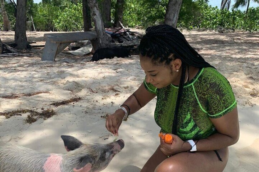 Ultimate SeaXscape Pigs/Turtles/Snorkel/Lunch/Drinks/PU/DO
