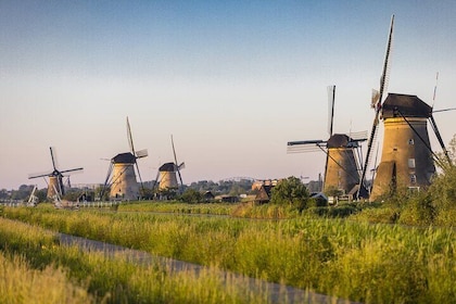 Kinderdijk, Delft and The Hague Private Tour from Rotterdam