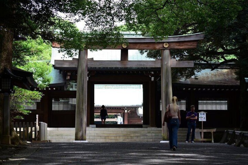 Meiji-jingu2