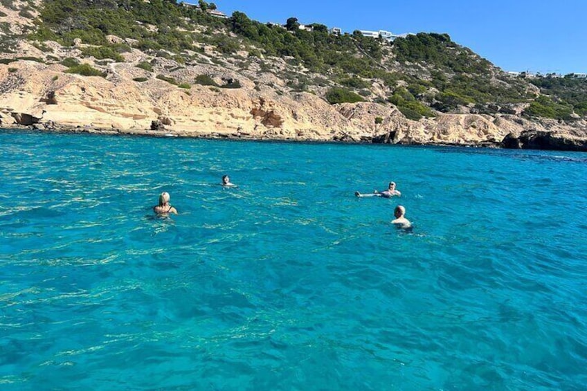 Swimming in the clearblue sea