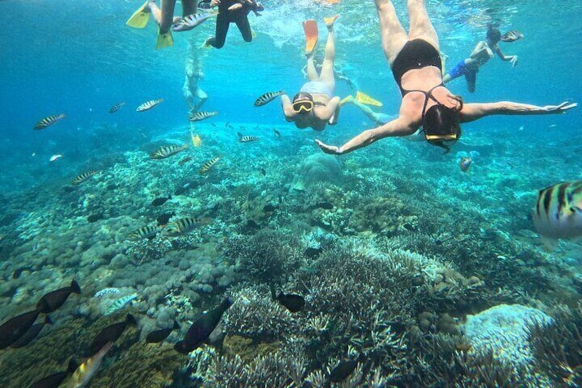 Private West Nusa Penida Day Tour with Snorkeling from Bali