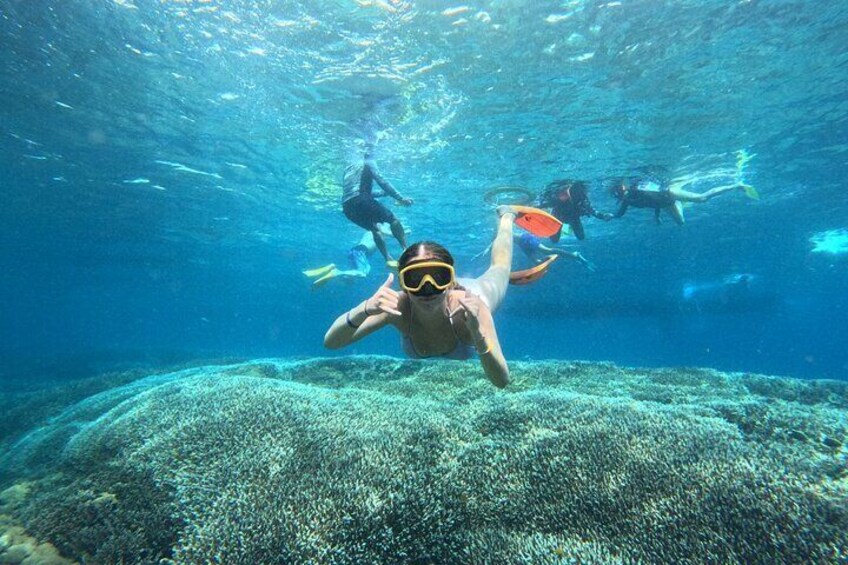 Private West Nusa Penida Day Tour with Snorkeling from Bali