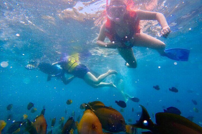 Private West Nusa Penida Day Tour with Snorkeling from Bali