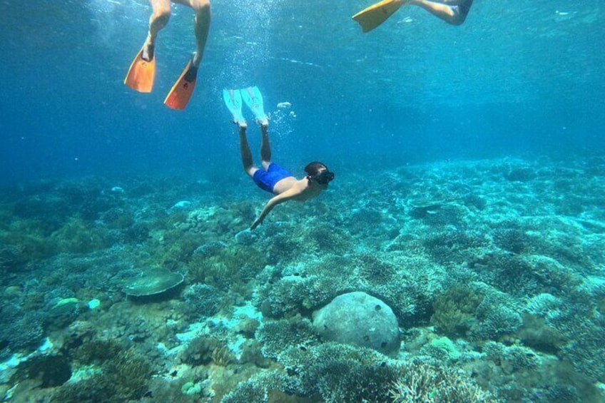 Private West Nusa Penida Day Tour with Snorkeling from Bali