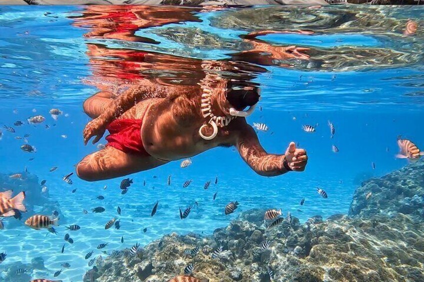 The beautiful coral garden and its tropical fish. 