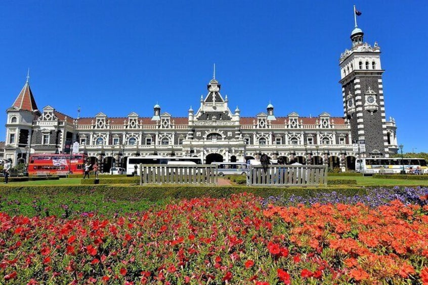 Private Dunedin and Peninsula Day Tour (5-9 Peole)