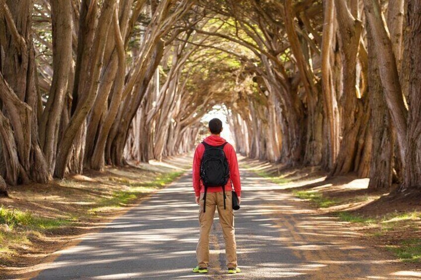 Self-Guided Audio Driving Tour of Point Reyes National Seashore