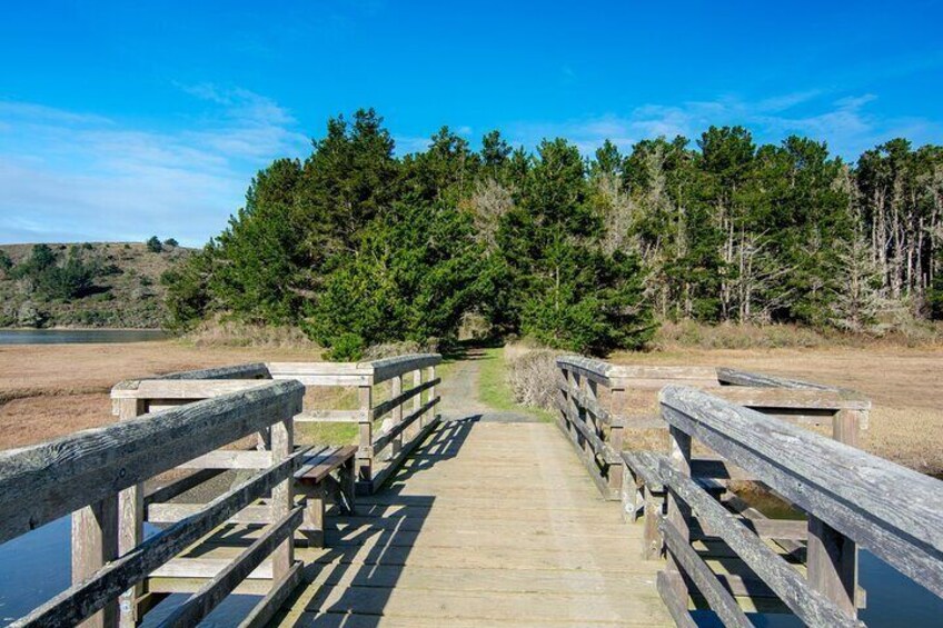 Self-Guided Audio Driving Tour of Point Reyes National Seashore