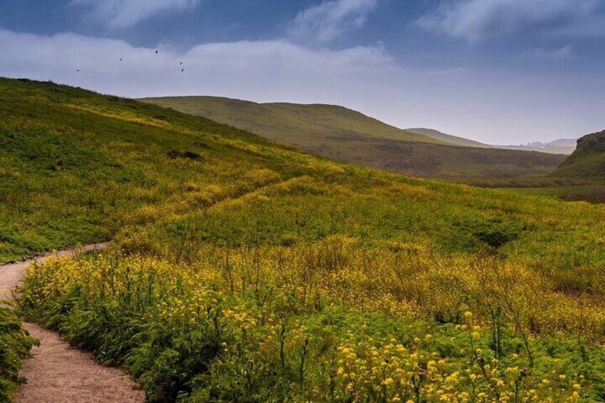 Self-Guided Audio Driving Tour of Point Reyes National Seashore