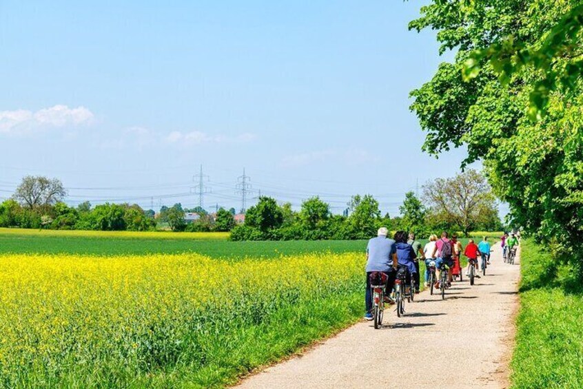 Countryside Bike Tour with Cheese Tasting From Amsterdam