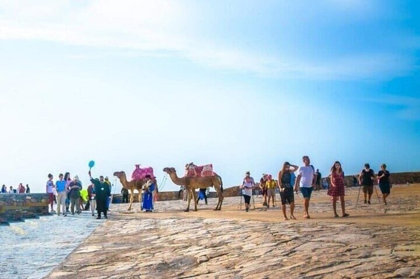 Cable Car Experience and Agadir City Tour.