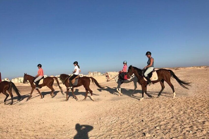 Two-Hour Desert and Sea Horse Riding Experience in Hurghada