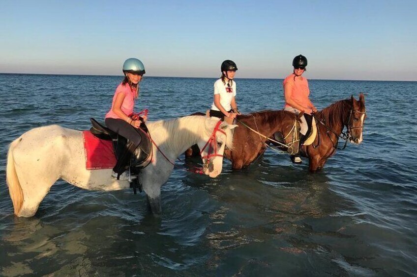 Two-Hour Desert and Sea Horse Riding Experience in Hurghada