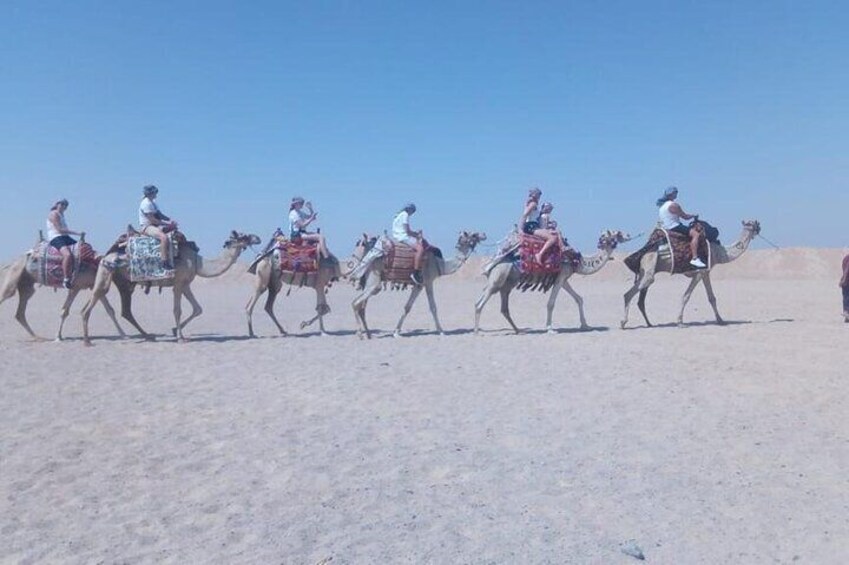 Two-Hour Desert and Sea Horse Riding Experience in Hurghada