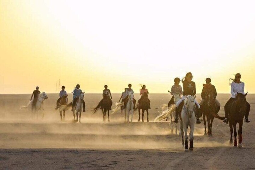 Two-Hour Desert and Sea Horse Riding Experience in Hurghada