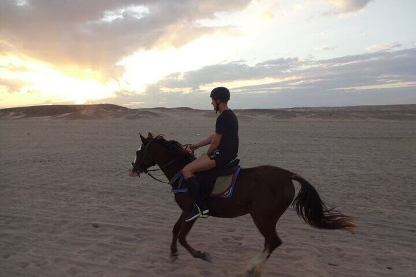 Two-Hour Desert and Sea Horse Riding Experience in Hurghada