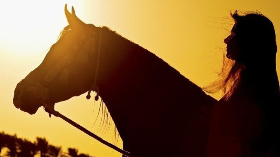 Two-Hour Desert and Sea Horse Riding Experience in Hurghada
