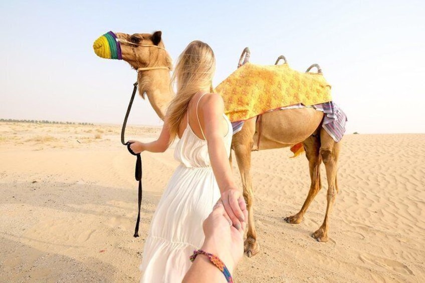 Exclusive Dune Bashing, Camel Ride, Falcon Photo & Sandboarding