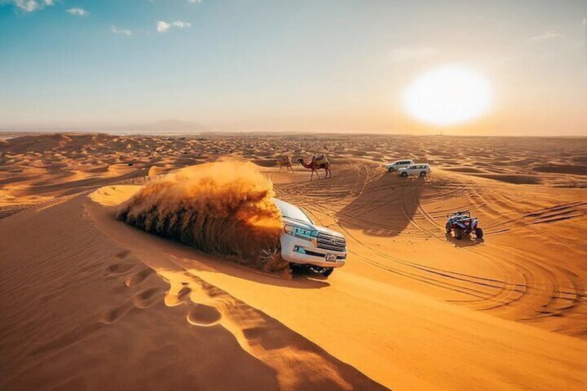 Private 4Hours Red Dunes Safari Camel Ride ,Falcon & Dune Thrills