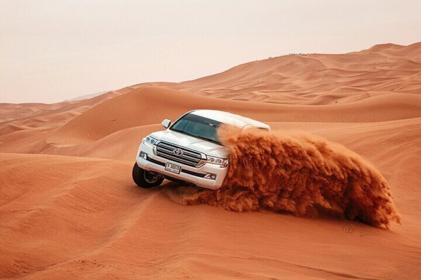 Exclusive Dune Bashing, Camel Ride, Falcon Photo & Sandboarding