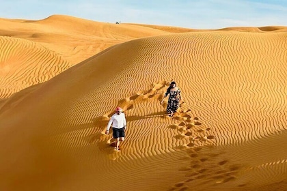 Private 4Hours Red Dunes Safari Camel Ride ,Falcon & Dune Thrills