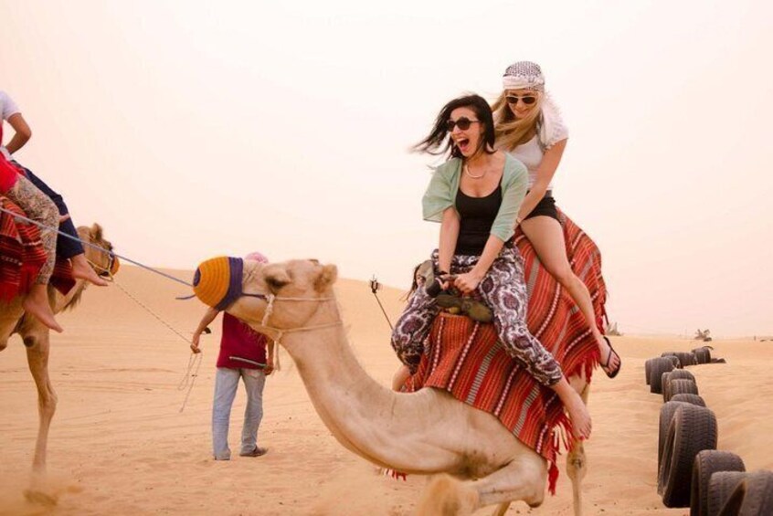 Exclusive Dune Bashing, Camel Ride, Falcon Photo & Sandboarding