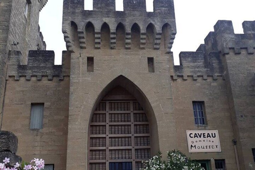 Discover Avignon City of Popes with Unique Food and Wine Tasting