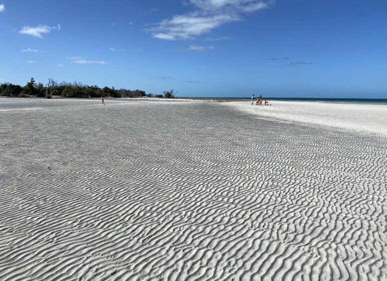 Picture 3 for Activity Key West: Private Sandbar Boat Tour and Swimming Excursion