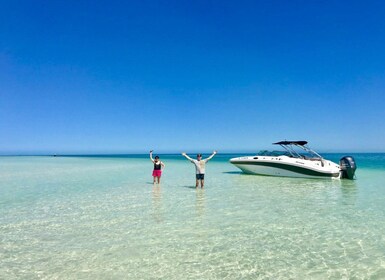 Key West: Sandbar Boat Tour and Swimming Excursion