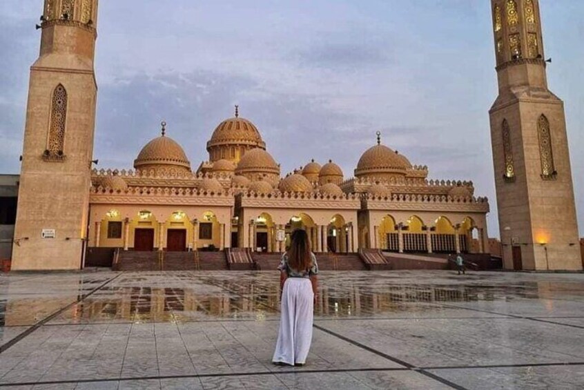 Experience Hurghada: Exclusive Full-Day Private Tour - Marsa Alam