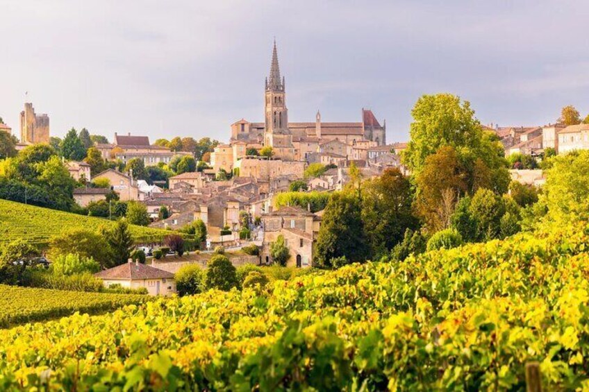 Explore the vineyards of Saint-Emilion & Pomerol